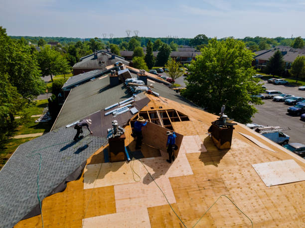 Quick and Trustworthy Emergency Roof Repair Services in Paris, AR