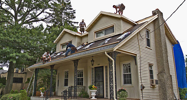 Best Commercial Roof Installation  in Pis, AR